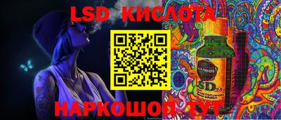 гидра Вышний Волочёк