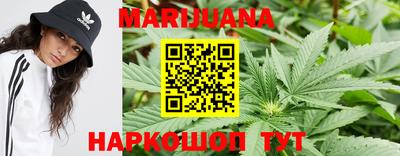 Альфа ПВП Владивосток