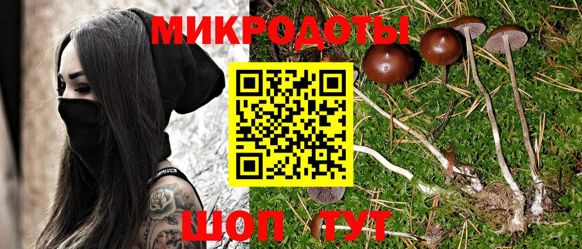 Будённовск  Галлюциногенные грибы Cubensis  Вход с VPN  Псилоцибиновые грибы GOLDEN TEACHER 